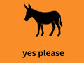 Texmex The Donkey's Punch Ginger Mule