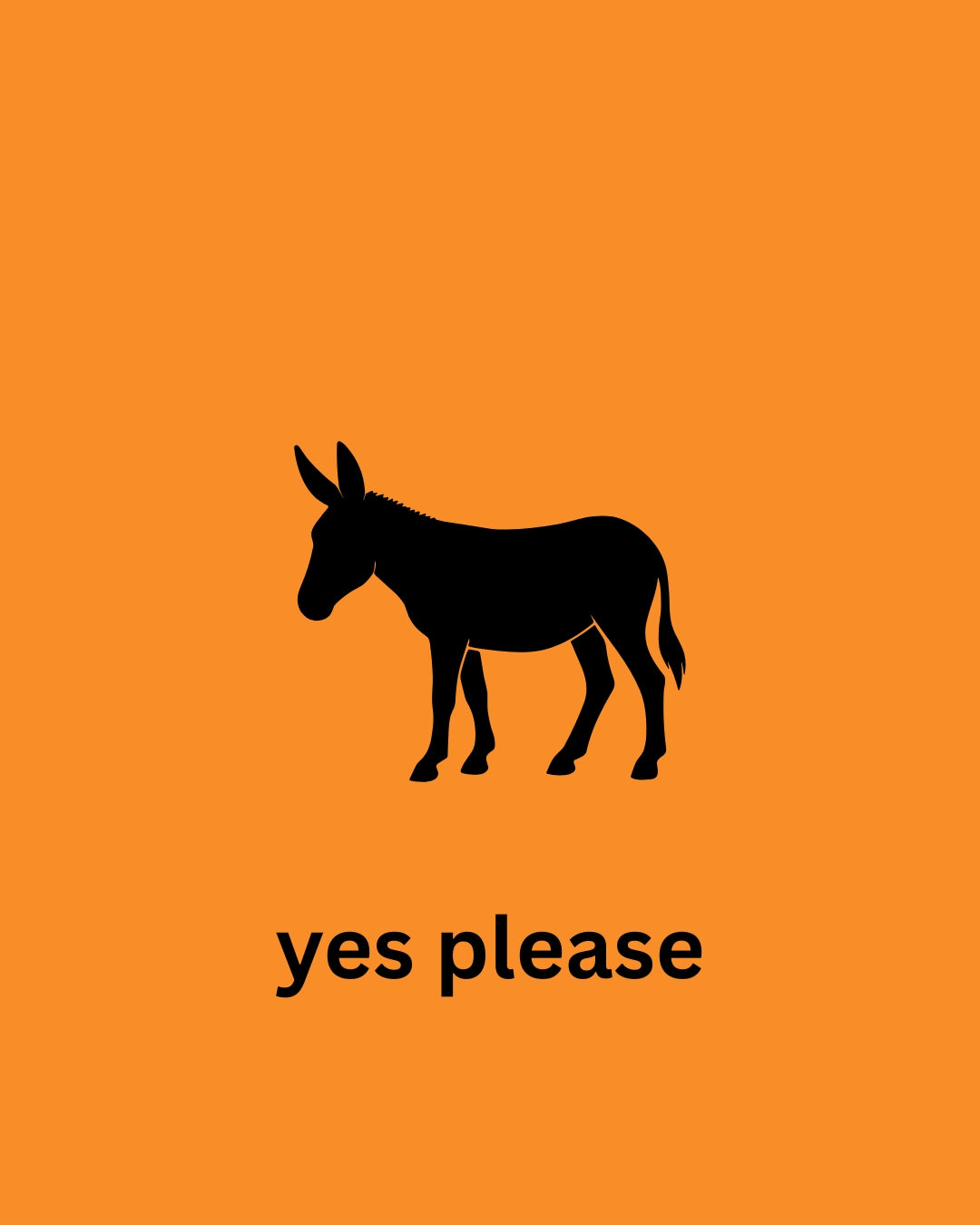 Texmex The Donkey's Punch Ginger Mule