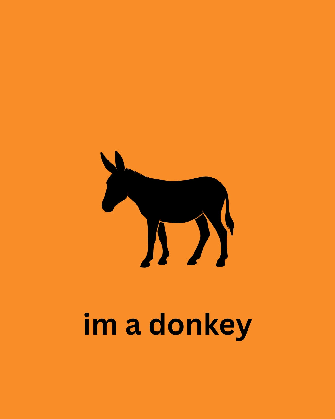 Texmex The Donkey's Punch Ginger Mule
